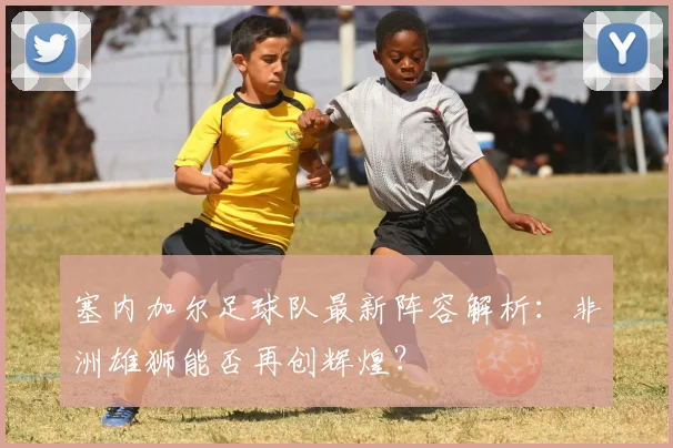 塞内加尔足球队最新阵容解析：非洲雄狮能否再创辉煌？